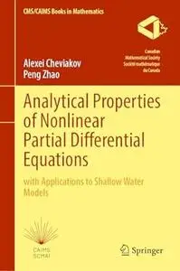 Analytical Properties of Nonlinear Partial Differential Equations