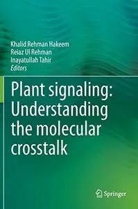 Plant signaling: Understanding the molecular crosstalk (Repost)