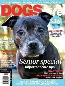 Dogs Life - August 2016