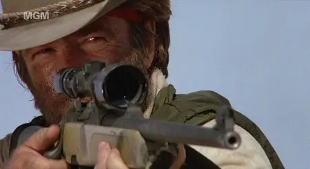 Lone Wolf McQuade (1983)