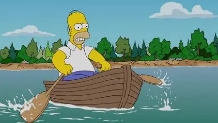 Die Simpsons S20E13