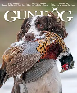 Gun Dog - November 2024