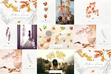 Autumn Leaves - 30 Watercolor Floral Illustrations