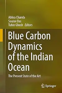 Blue Carbon Dynamics of the Indian Ocean: The Present State of the Art