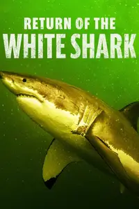 Return of the White Shark (2023) [MultiSubs]
