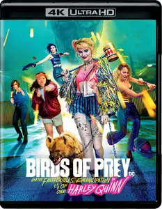 Birds of Prey (and the Fantabulous Emancipation of One Harley Quinn) (2020) [MultiSubs]