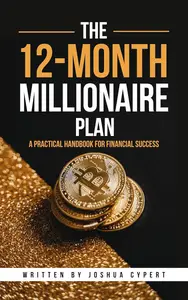 The 12-Month Millionaire Plan