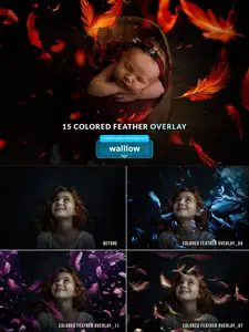 Colorful feathers transparent png photo overlays