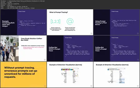 Large Language Model and Agentic AI Explainability