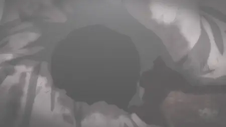 Hell's Paradise (2023) S01E06 Heart and Reason (1080p BluRay Dual-Audio Opus 2 0 x265