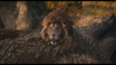 Mufasa: The Lion King (2024)