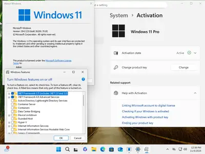 Windows 11 Pro 25H2 Build 26200.7019 (No TPM Required) Multilingual Preactivated