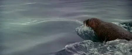 The Savage Innocents (1960)