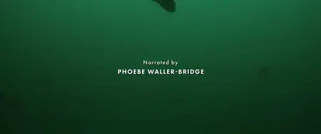 Octopus! S01E01