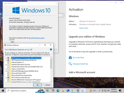 Windows 11 24H2 (No TPM Required) & Windows 10 22H2 AIO 32in1 With Office 2024 Pro Plus Multilingual Preactivated February 2025