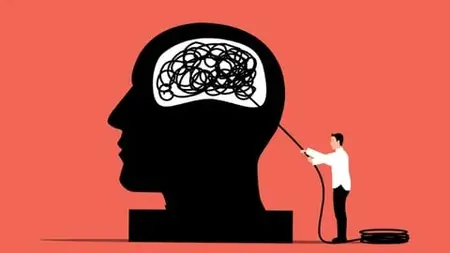 The 5 Steps to Freedom: Stress, Worry, and Anxiety Freedom