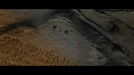 Where Olive Trees Weep (2024)