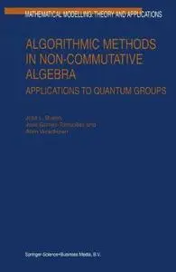 Algorithmic Methods in Non-Commutative Algebra: Applications to Quantum Groups