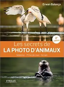 Les secrets de photo d'animaux, 4è édition : Matériel - Prise de vue - terrain