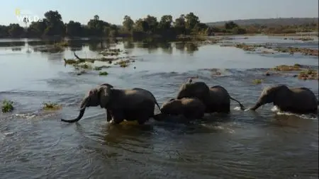 Victoria Falls - Africa's Garden of Eden (2021)