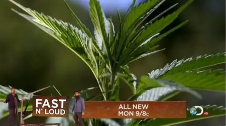 Weed Country S01E02 - Smugglers Blues (2013)
