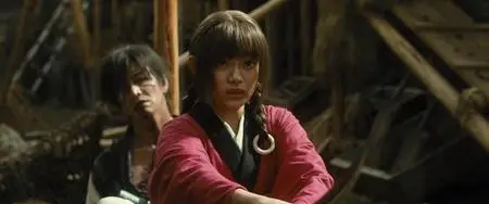 Blade of the Immortal / Mugen no jûnin (2017)