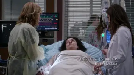 Grey's Anatomy S15E17
