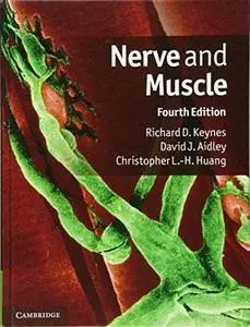 Nerve and Muscle