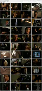Sins of the Night (1993)