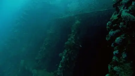BBC - Great Barrier Reef (Repost)
