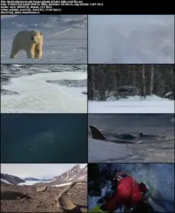 David Attenborough Frozen Planet S01E01