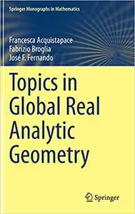 Topics in Global Real Analytic Geometry