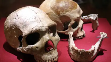 Coursera - Human Evolution - Past and Future