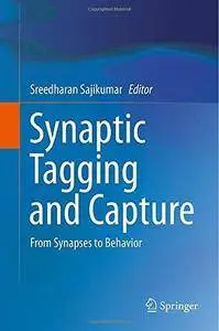 Synaptic Tagging and Capture: From Synapses to Behavior (Repost)