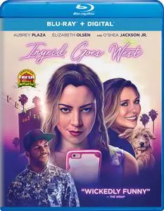 Ingrid Goes West (2017) [w/Commentary]