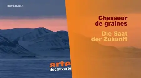 (Arte) Chasseur de graines (2013)