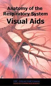 Anatomy of the respiratory system Visuald Aids: Visuald Aids