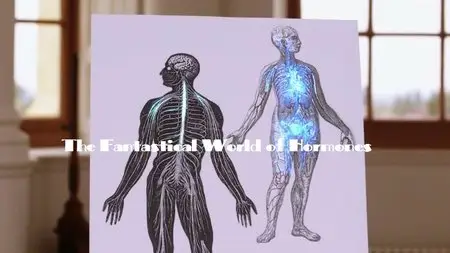 BBC - The Fantastical World of Hormones (2014)