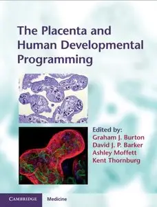 The Placenta and Human Developmental Programming