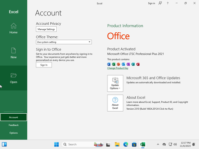 Windows 11 Enterprise 23H2 Build 22631.2506 (No TPM Required) With Office 2021 Pro Plus Multilingual Preactivated