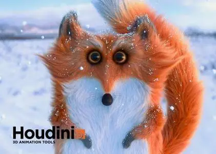 SideFX Houdini FX 16.5.496