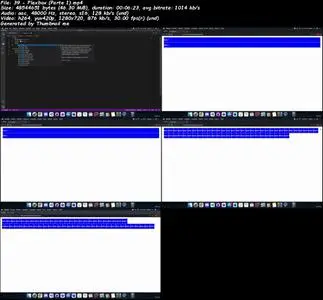 Html & Css: Le basi dello sviluppo web