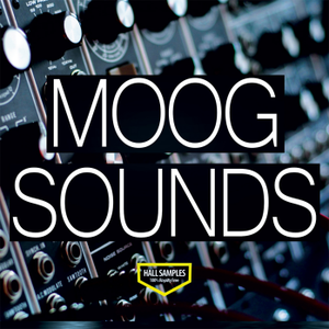 Hall Samples Moog Sounds WAV