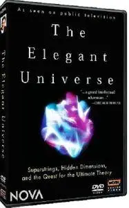 PBS - The Elegant Universe (2004)