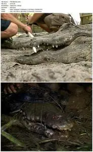 SuperCroc (2001)