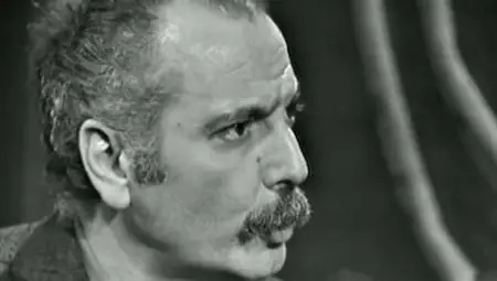 (Fr3) Brassens est en nous (2011)