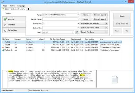 FileSeek Pro 6.6 Multilingual