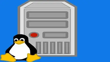 Linux Command Line And Shell Scripting Masterclass