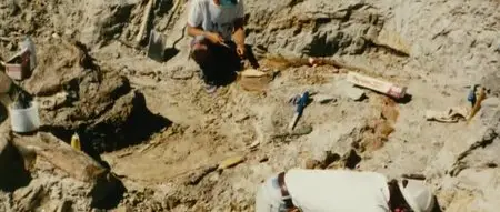 Dinosaur 13 (2014)