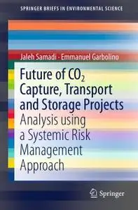 Future of CO2 Capture, Transport and Storage Projects: Analysis using a Systemic Risk Management Approach (Repost)